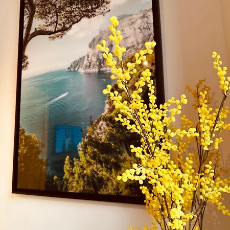 New ! Superbe - Deco Capri Dolce *