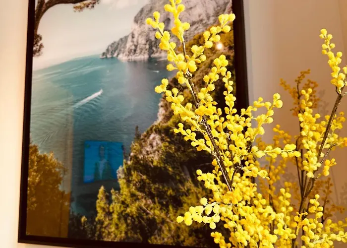 New ! Superbe - Deco Capri Dolce *